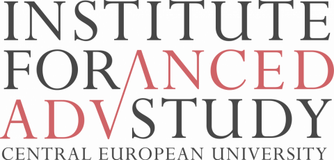Institute for Advanced study at CEU